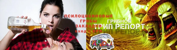 спайс Алзамай