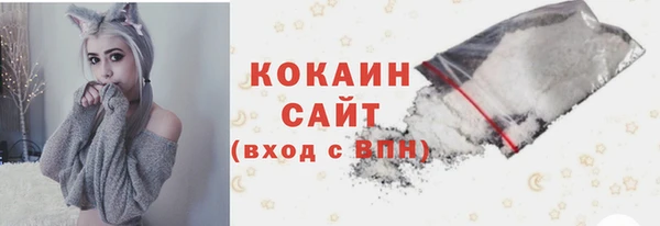 кокс Алексин