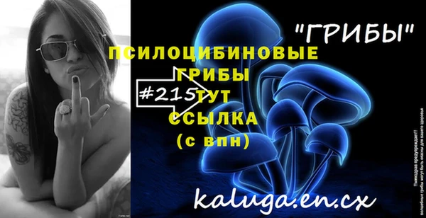 кокс Алексин