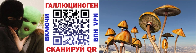 даркнет сайт  Весьегонск  Псилоцибиновые грибы Psilocybe 
